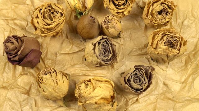Dried yellow and pink rose floral heads lie on a beige textured background from handmade craft paper, top view, rotation 