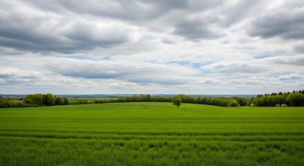 Fototapeta premium A vast expanse of vibrant green fields stretches beneath a dramatic sky filled with puffy clouds, showcasing a peaceful rural landscape.