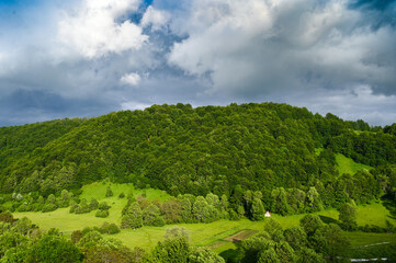 Green forest on the mountain in summer. Green trees and grass at sunset.