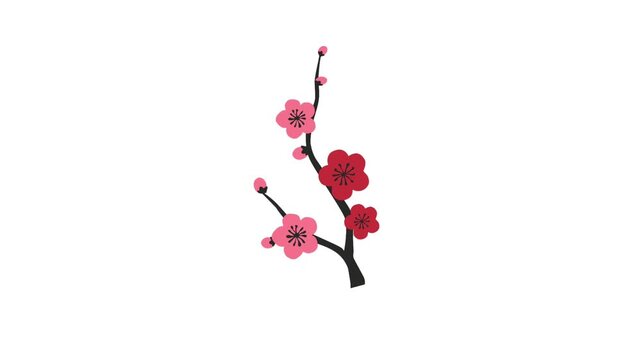 2D Animated Cherry Blossom for Festive Decorative Theme
