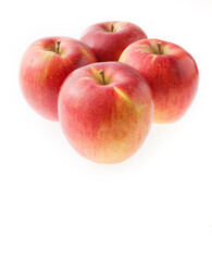 林檎　信濃スイーツ