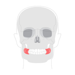 Buccinator - Human cheek muscle in anatomy chart, aids in mastication by compressing the cheeks, important for blowing and chewing, used in health education.