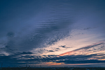 夜明けの空に浮かぶ波状雲