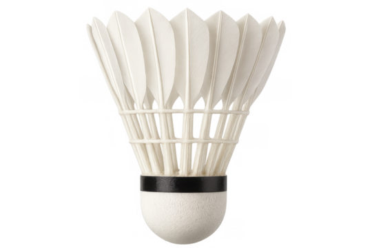 Shuttlecock standing on transparent background, white feathers and cork base for badminton game
