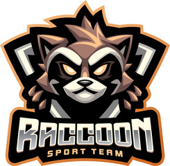 Raccoon sport team mascot