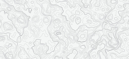 Fototapeta premium Minimalist Topographic Map with Faint Gray Lines for Design and Mapping Pristine White Background.