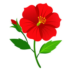 evening primrose red