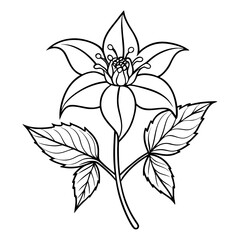 epimedium grandiflorum rose queen line art flower