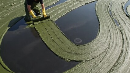 Eco-friendly pond restoration wetland area video documentation natural environment aerial view sustainability practices