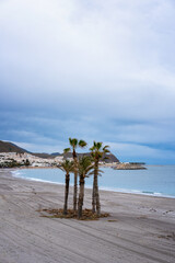 Carboneras Beach in Spain showing palm trees, ocean and a coastal town under a cloudy sky in Spain