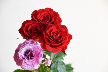 薔薇とラナンキュラス