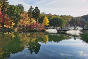 Fototapeta premium 池のある公園