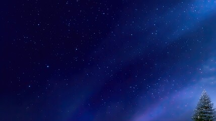 Naklejka premium Starry Night Sky with Distant Stars and a Pine Tree Silhouette Against a Deep Blue Background in a Serene Winter Landscape
