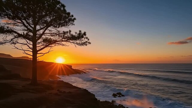 A breathtaking sunset or sunrise paints the sky with warm hues of orange, gold, and deep blue over a rugged coastal landscape. The silhouette of a solitary, resilient tree stands prominently against t