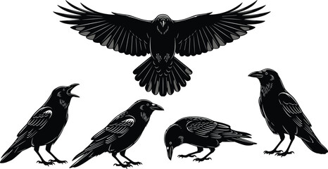 Collection Of Female Hairstyle Silhouettes Featuring Long Wavy Messy Bun And Short Pixie Cut Vector Illustration For Beauty Salon