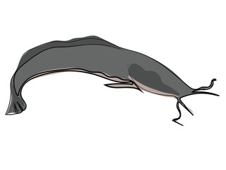 Catfish in continuous line drawing