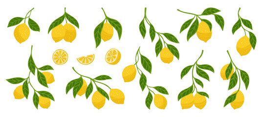Lemons textured set. Different lemon branches with leaves bright botanical collection. Fresh juicy citrus abstract whole or cut lemons. Decorative fruits design elements hand drawn vector illustration