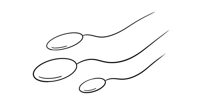 Easy to use sperm on white background