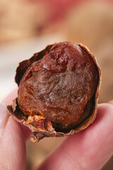 Dried Lychee Fruit with Exposed Flesh in Hand - Asian Tropical Snack Food