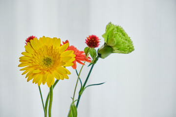 窓際の穏やかな光と綺麗な生花