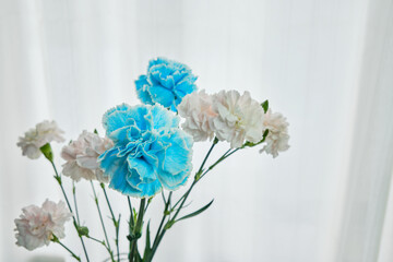 窓際の穏やかな光と綺麗な生花