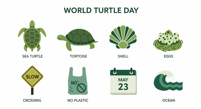 Eight green icons related to World Turtle Day including turtles eggs and environmental warnings