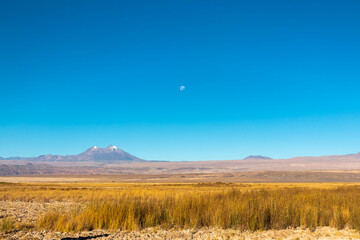 Paisaje del Altiplano Chileno bajo la Luna