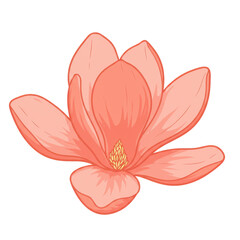 Obraz premium Delicate peach magnolia blossom with golden stamen, cartoon style illustration isolated on white background
