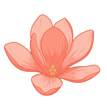 Delicate peach magnolia blossom with golden stamen, cartoon style illustration isolated on white background