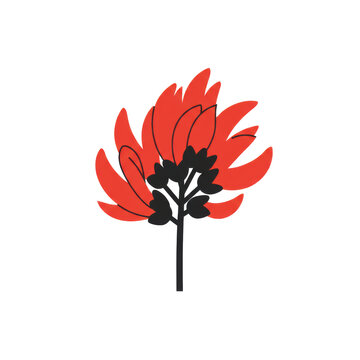 Stylized flame-of-the-forest flower with black stem and bud cluster isolated on white background