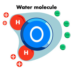 Illustration of a Water Molecule Structure