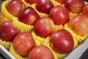Fresh Red Apples Displayed in Protective Packaging from Shaanxi Province China