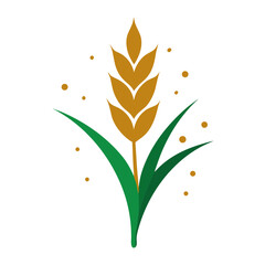 Rice Paddy Stalk Grain Icon Graphic Vector with Splash Design