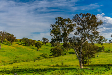 Riverina Countryside in Spring – Rolling Hills Under Clouded Skies