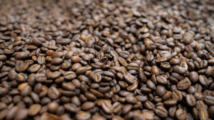 High-quality green and roasted coffee beans in close-up detail, premium Colombian coffee for export and specialty roasting