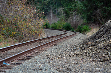 Railroad tracks  turning into a forest
