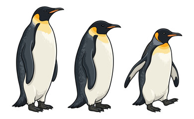 Fototapeta premium Three penguins standing together on a white background