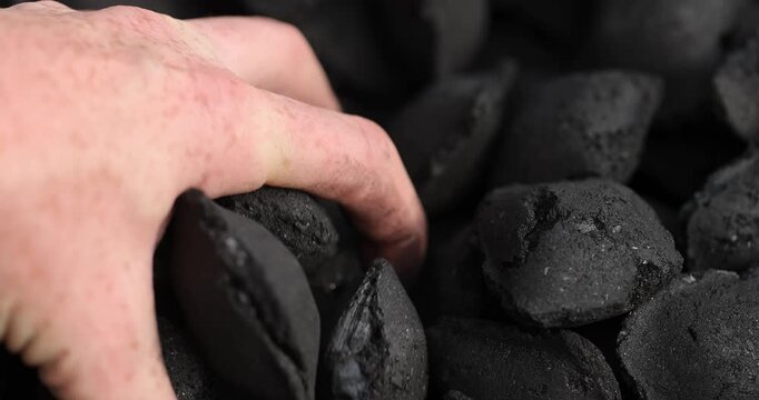 charcoal compressed from crumbs is obtained under pressure and used to light a fire and cook on the grill, black charcoal in briquettes for barbecues and grills