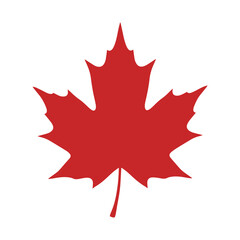 Red maple leaf autumn foliage symbol isolated on white,