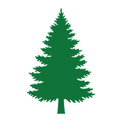 Green pine tree evergreen conifer silhouette isolated on transparent background