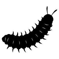 caterpillar on white background macro