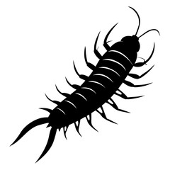 vector illustration of a black scorpion