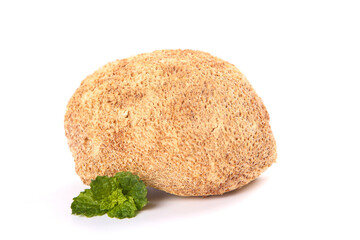 Changbaishan Monkey Head Mushroom - High Quality Wild Dried Edible Fungus