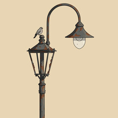 Why This Tiny Bird Chose the Rustiest Lamp in Town