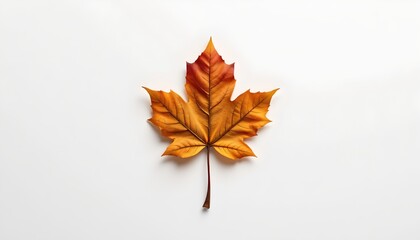 A maple leaf cutout in a yellow fall hue against a white background.