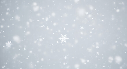 A single delicate pink snowflake in sharp focus.