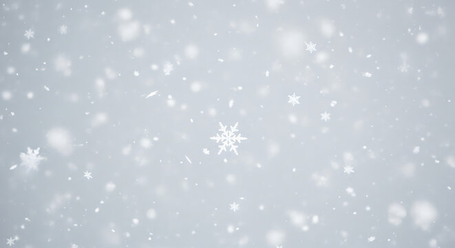 A single delicate pink snowflake in sharp focus.