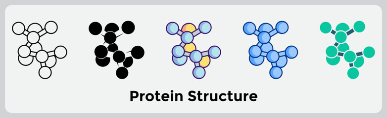 Protein Structure