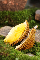 Fresh Thai Durian Fruit with Golden Flesh and Spiky Shell on Natural Stone Surface