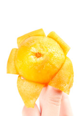 Fresh Loquat Fruit from Yunnan China - Golden Yellow Tropical Fruit in Hand Close-up